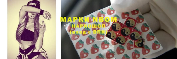 стафф Бородино