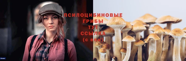 не бодяженный Баксан