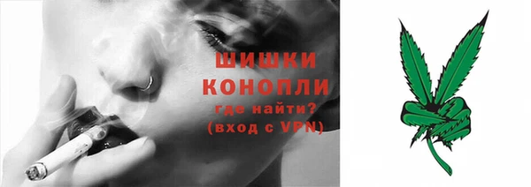 МДПВ Богородицк