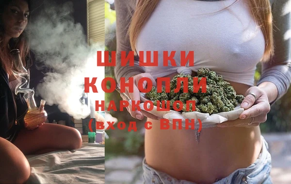 МДПВ Богородицк