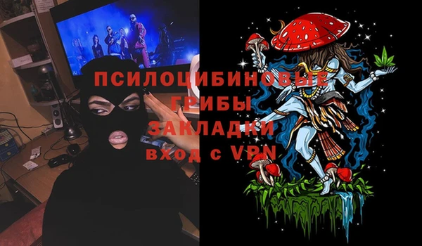 гидра Пролетарск